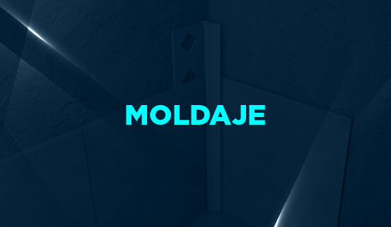 Cyber Moldaje
