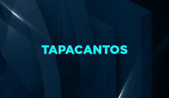 Cyber Tapacantos