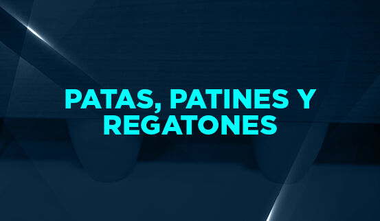Cyber Patas Patines y Regatones